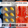 Cómo Usar Kamagra Oral Jalea 100Mg new01